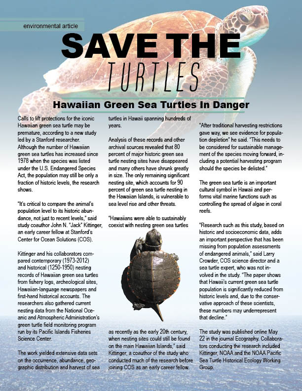 Turtle Publication – CRyder Design